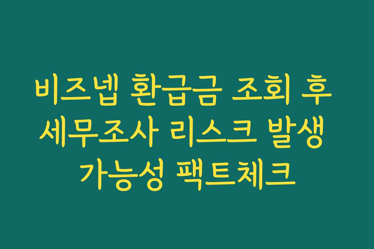 비즈넵 환급금 조회 후 세무조사 리스크 발생 가능성 팩트체크