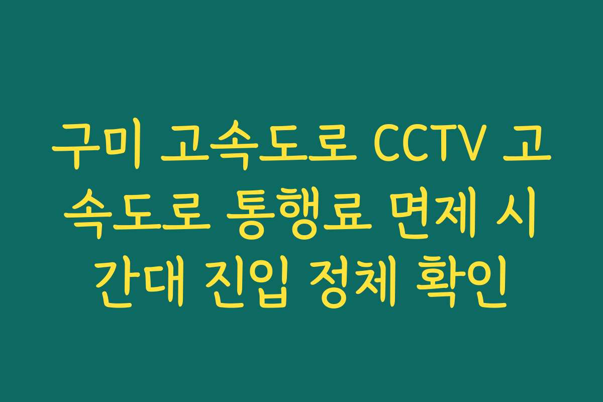구미 고속도로 CCTV 고속도로 통행료 면제 시간대 진입 정체 확인 구미 고속도로 CCTV 고속도로 통행료 면제 시간대 진입 정체 확인