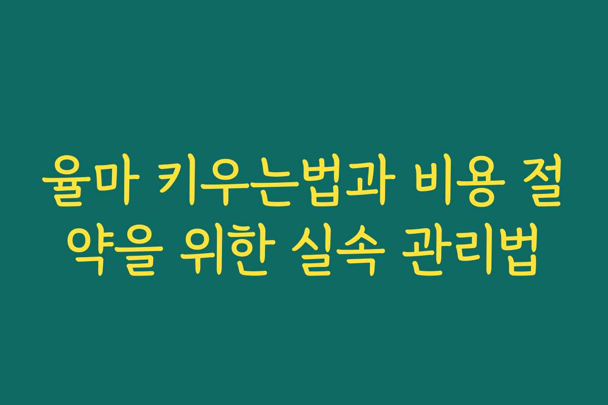 율마 키우는법과 비용 절약을 위한 실속 관리법