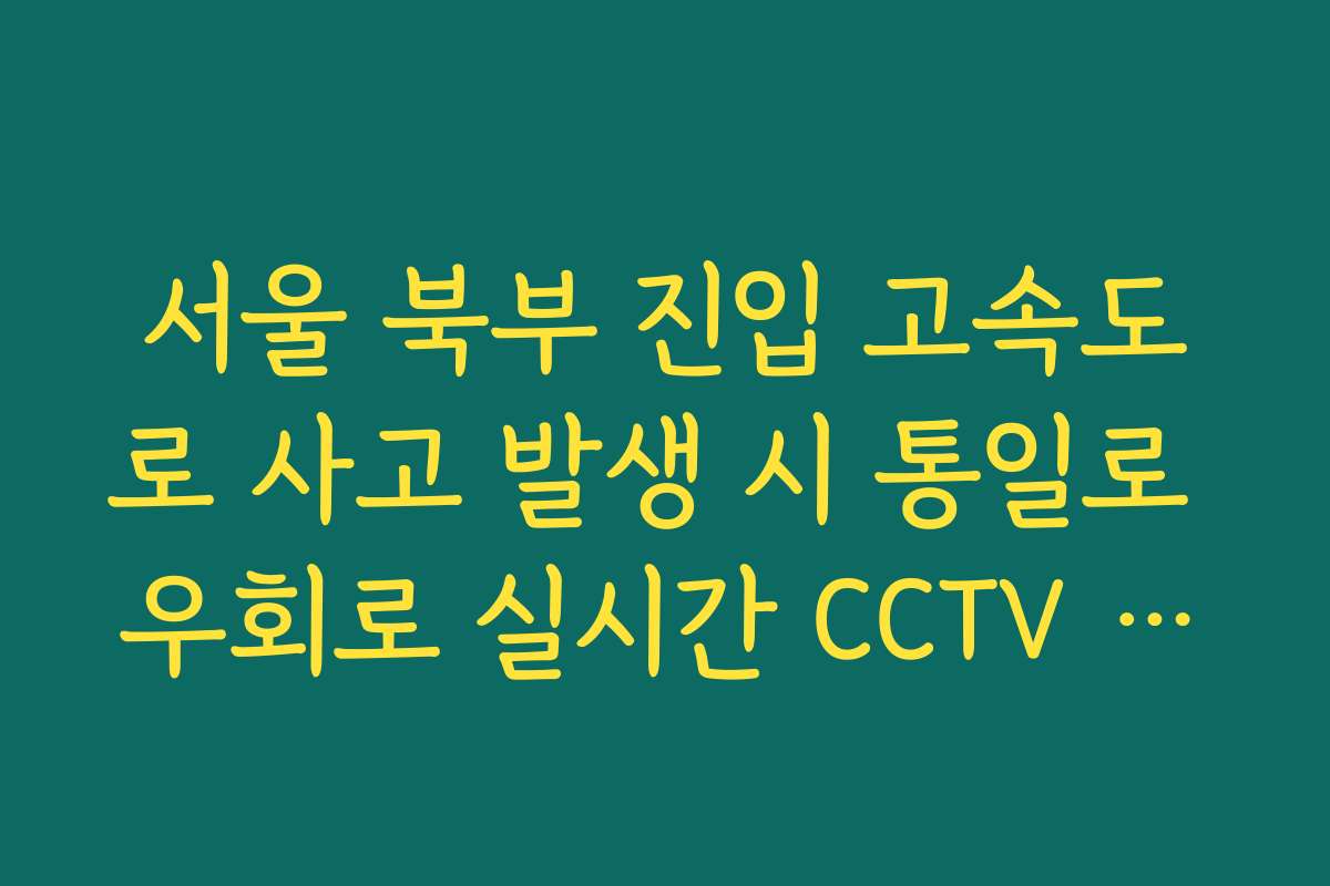 서울 북부 진입 고속도로 사고 발생 시 통일로 우회로 실시간 CCTV 확인