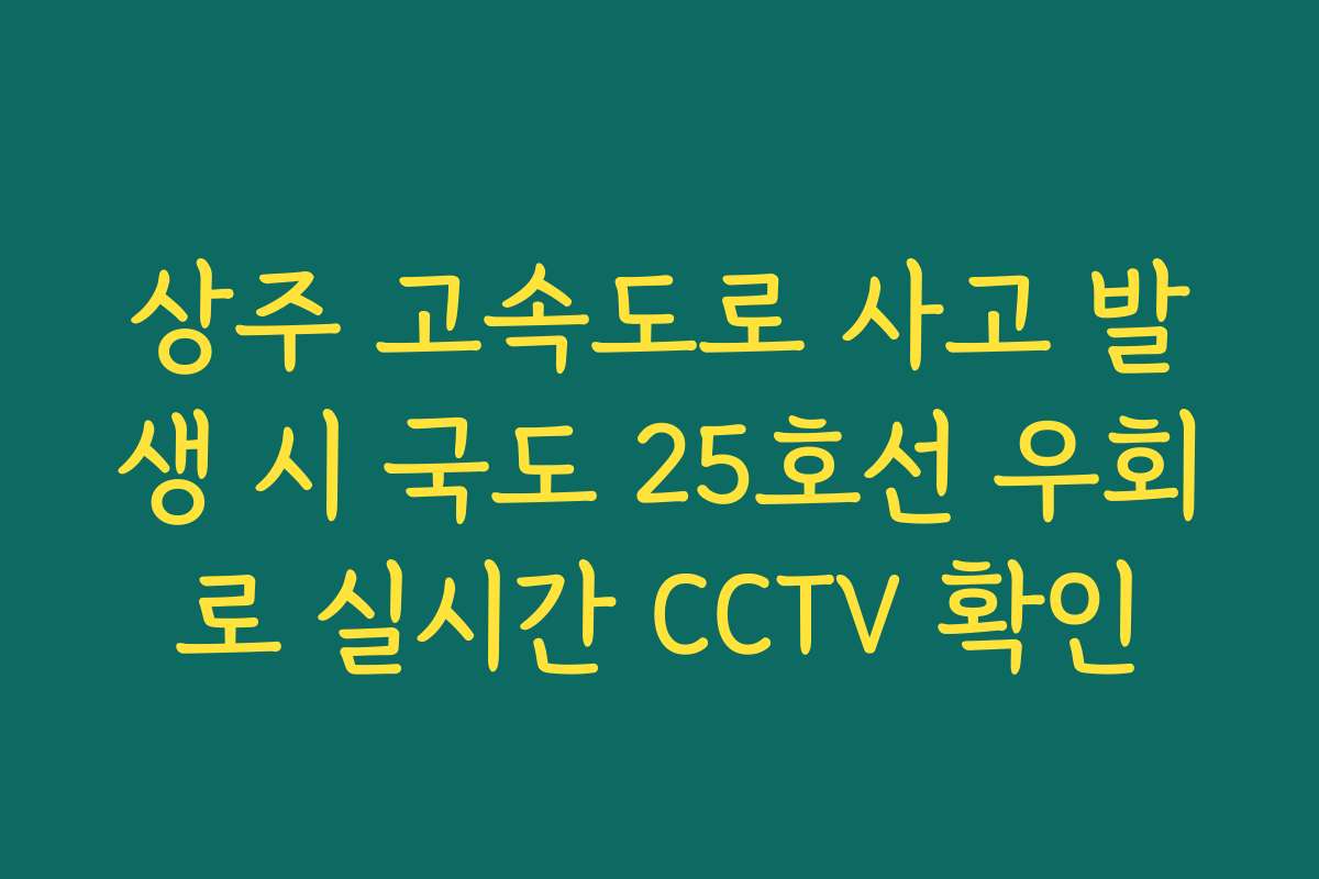 상주 고속도로 사고 발생 시 국도 25호선 우회로 실시간 CCTV 확인