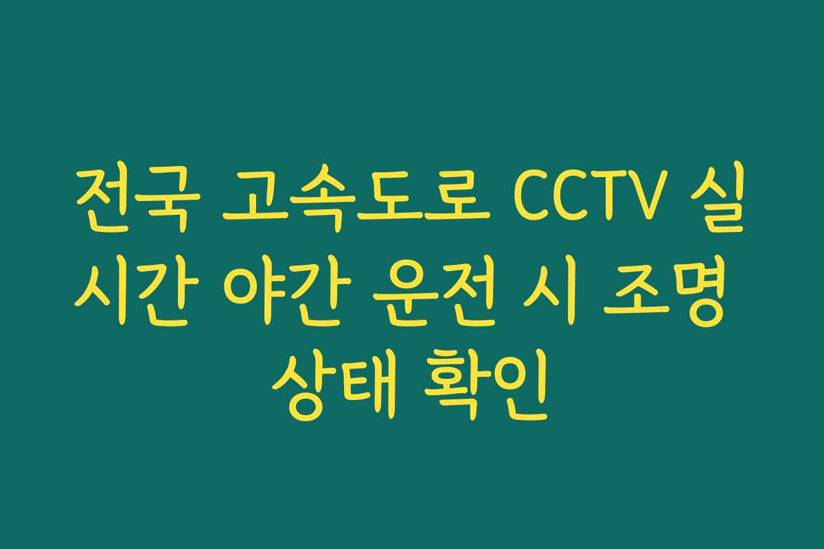 전국 고속도로 CCTV 실시간 야간 운전 시 조명 상태 확인