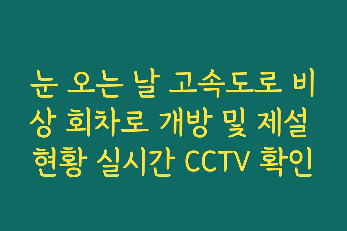 눈 오는 날 고속도로 비상 회차로 개방 및 제설 현황 실시간 CCTV 확인