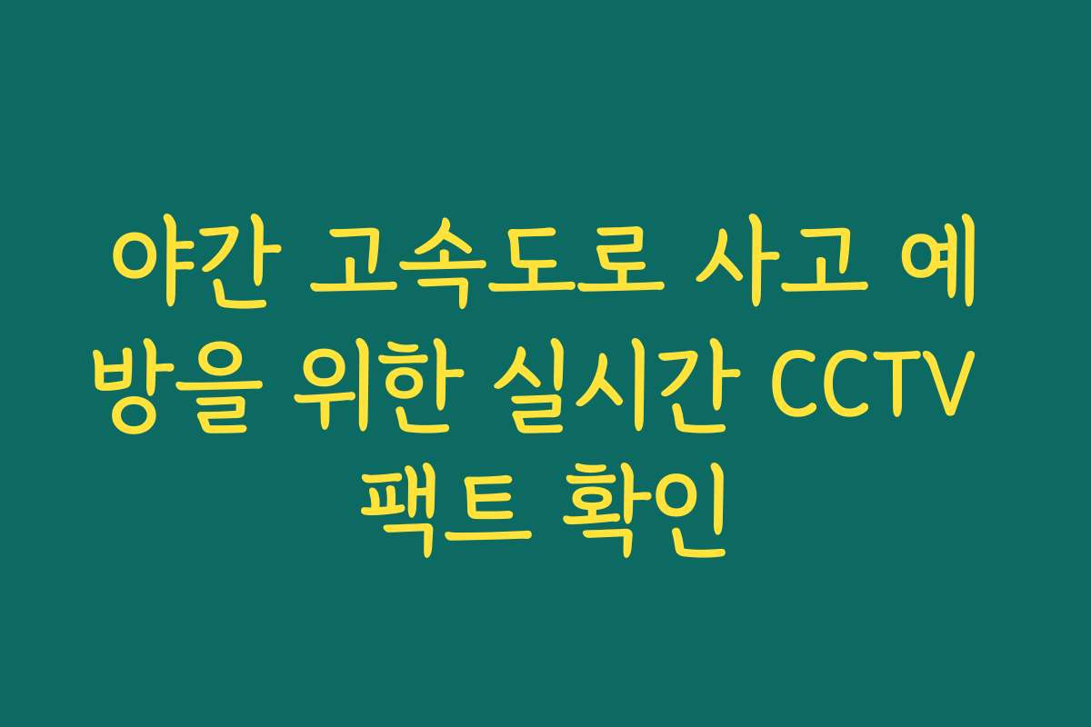 야간 고속도로 사고 예방을 위한 실시간 CCTV 팩트 확인
