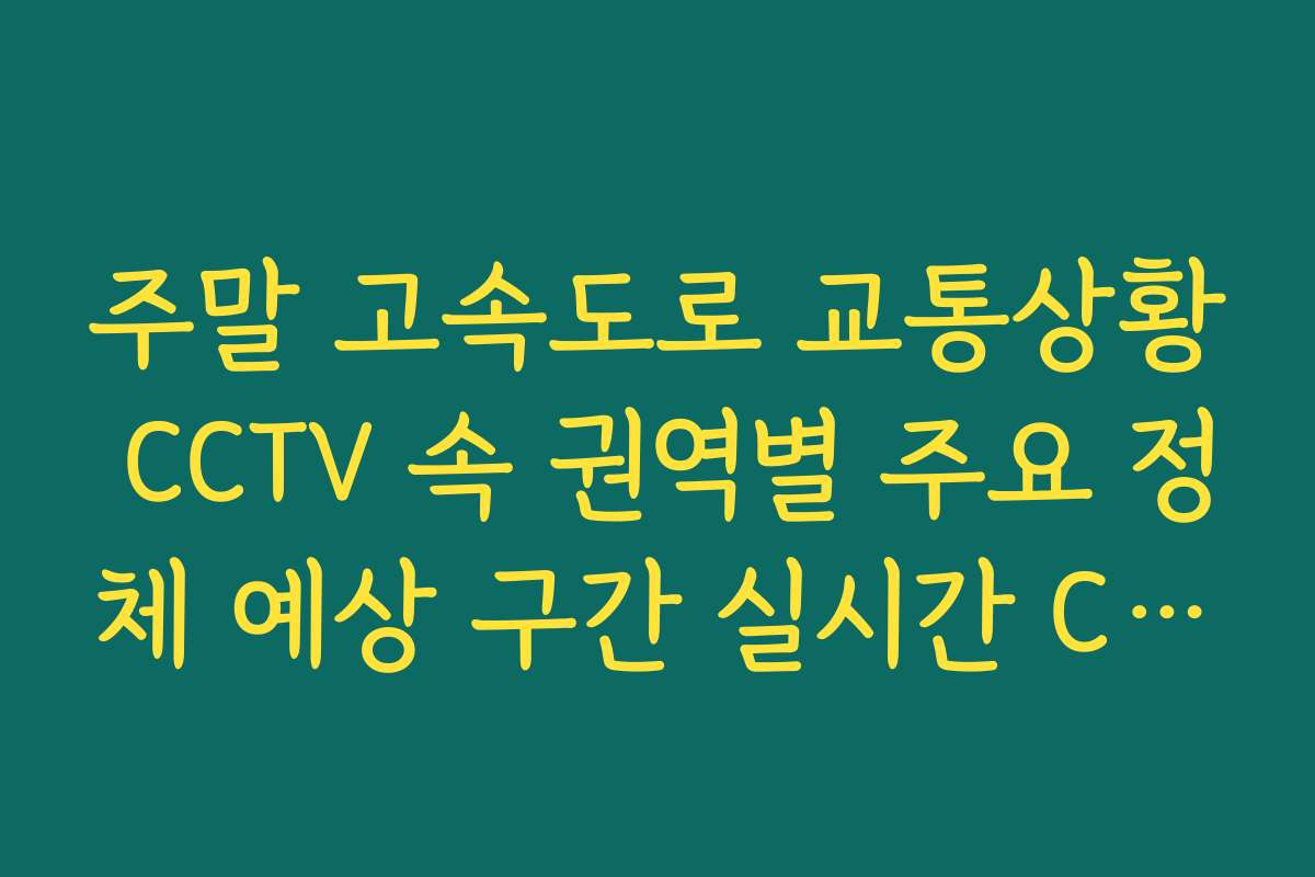 주말 고속도로 교통상황 CCTV 속 권역별 주요 정체 예상 구간 실시간 CCTV 주말 고속도로 교통상황 CCTV 속 권역별 주요 정체 예상 구간 실시간 CCTV