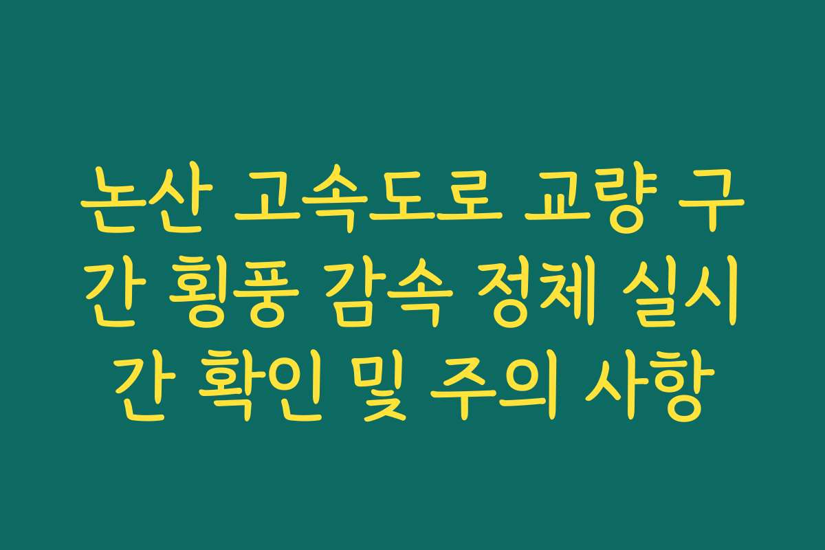 논산 고속도로 교량 구간 횡풍 감속 정체 실시간 확인 및 주의 사항