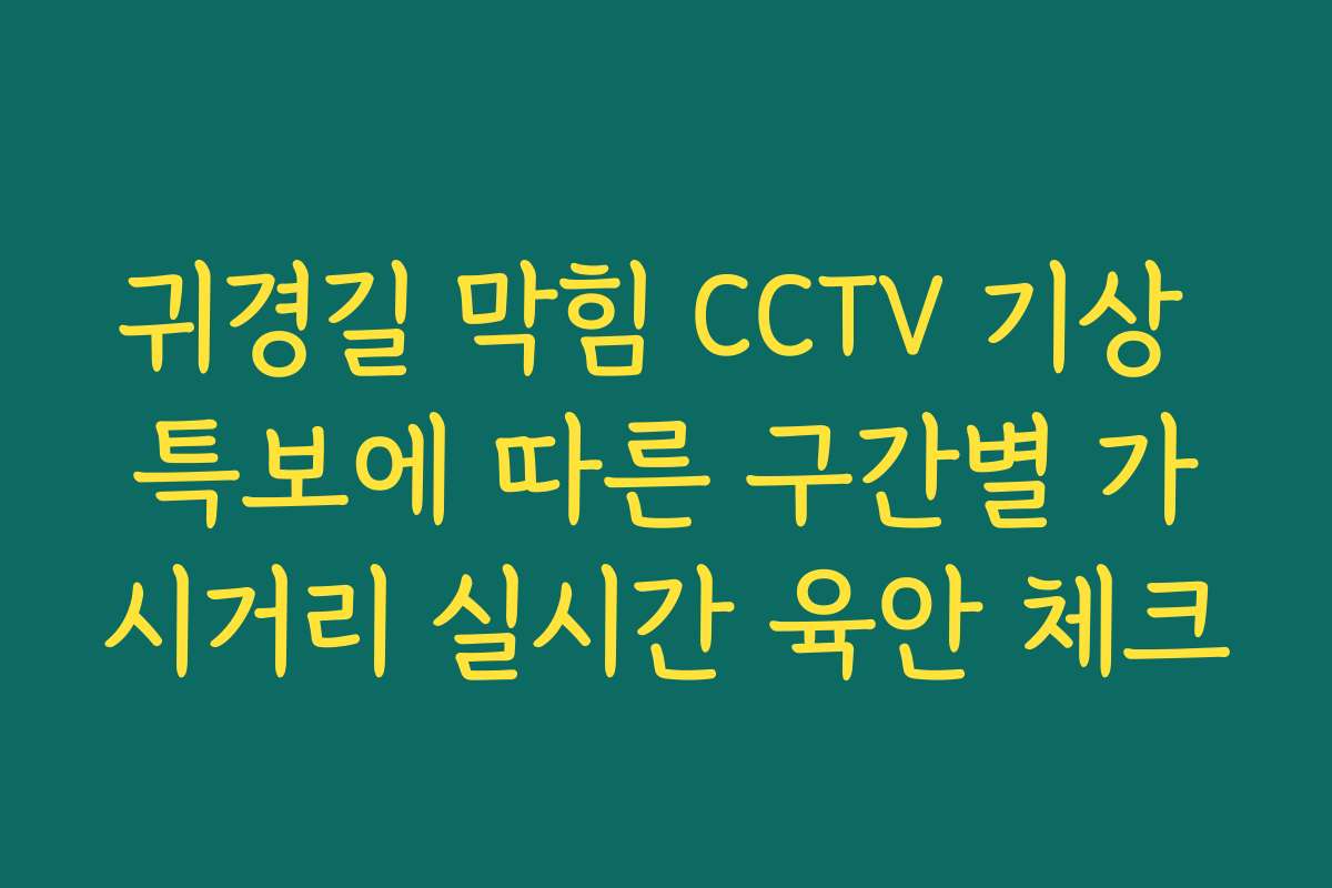 귀경길 막힘 CCTV 기상 특보에 따른 구간별 가시거리 실시간 육안 체크 귀경길 막힘 CCTV 기상 특보에 따른 구간별 가시거리 실시간 육안 체크