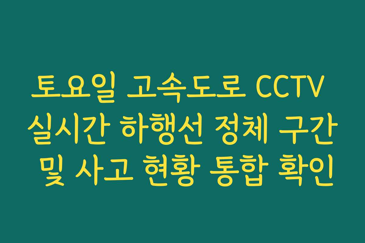 토요일 고속도로 CCTV 실시간 하행선 정체 구간 및 사고 현황 통합 확인 토요일 고속도로 CCTV 실시간 하행선 정체 구간 및 사고 현황 통합 확인