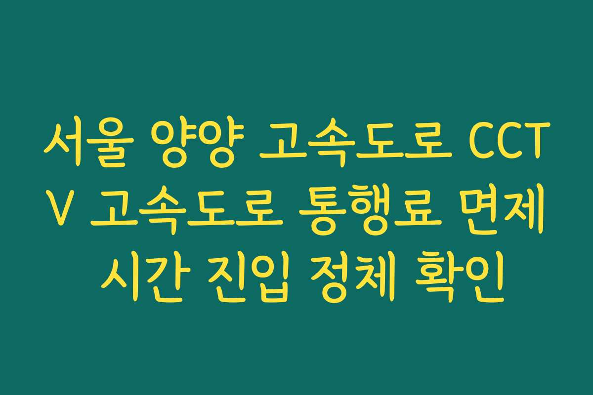 서울 양양 고속도로 CCTV 고속도로 통행료 면제 시간 진입 정체 확인