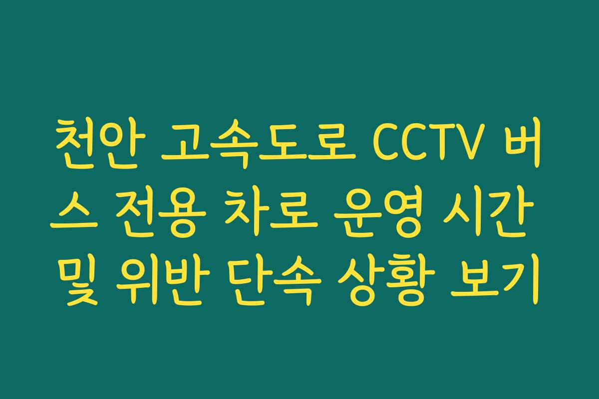 천안 고속도로 CCTV 버스 전용 차로 운영 시간 및 위반 단속 상황 보기