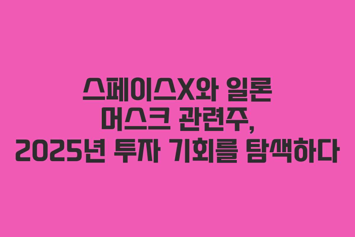 스페이스X와 일론 머스크 관련주, 2025년 투자 기회를 탐색하다