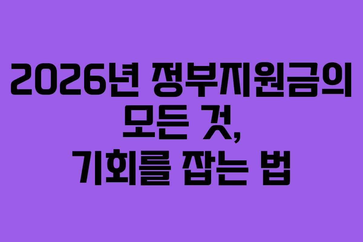 2026년 정부지원금의 모든 것, 기회를 잡는 법
