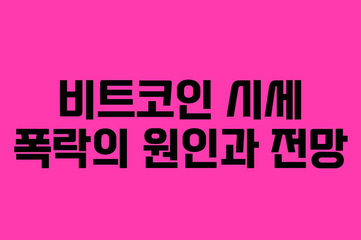 비트코인 시세 폭락의 원인과 전망