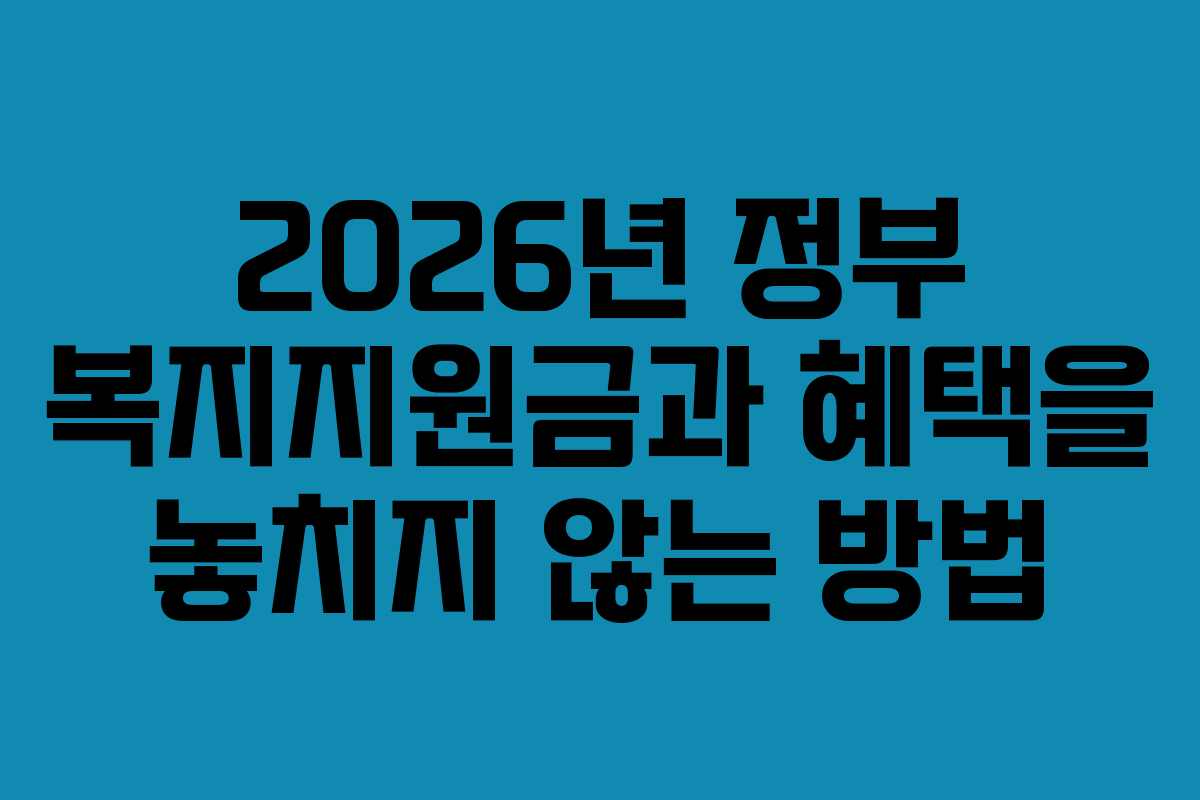2026년 정부 복지지원금과 혜택을 놓치지 않는 방법