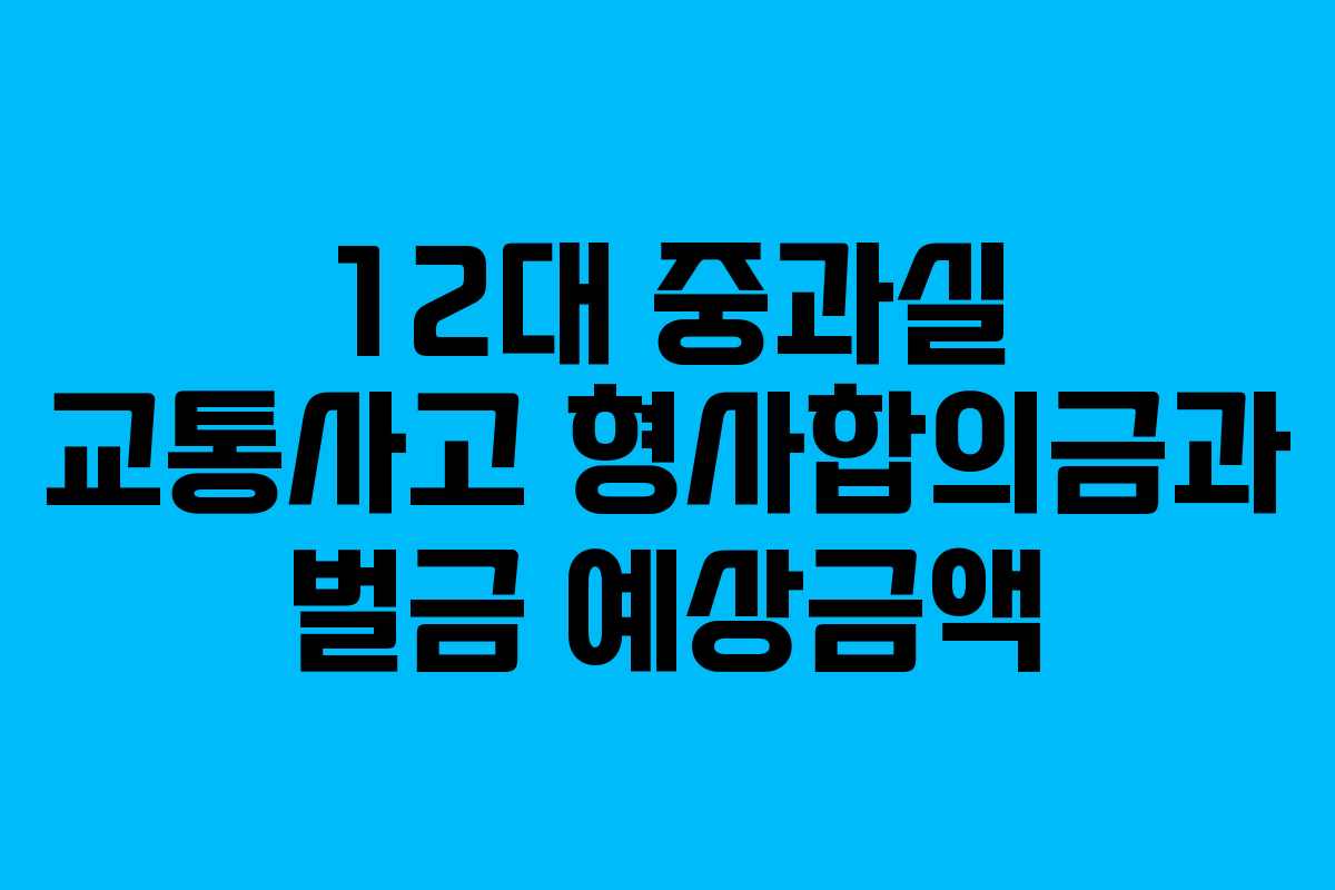 12대 중과실 교통사고 형사합의금과 벌금 예상금액