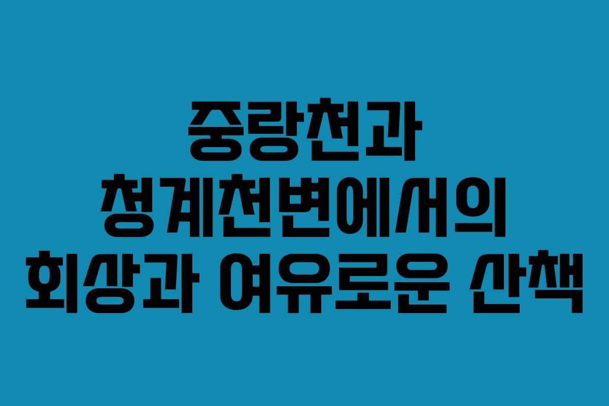 중랑천과 청계천변에서의 회상과 여유로운 산책