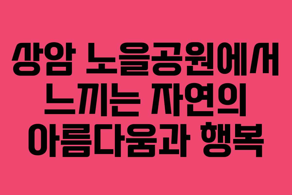 상암 노을공원에서 느끼는 자연의 아름다움과 행복