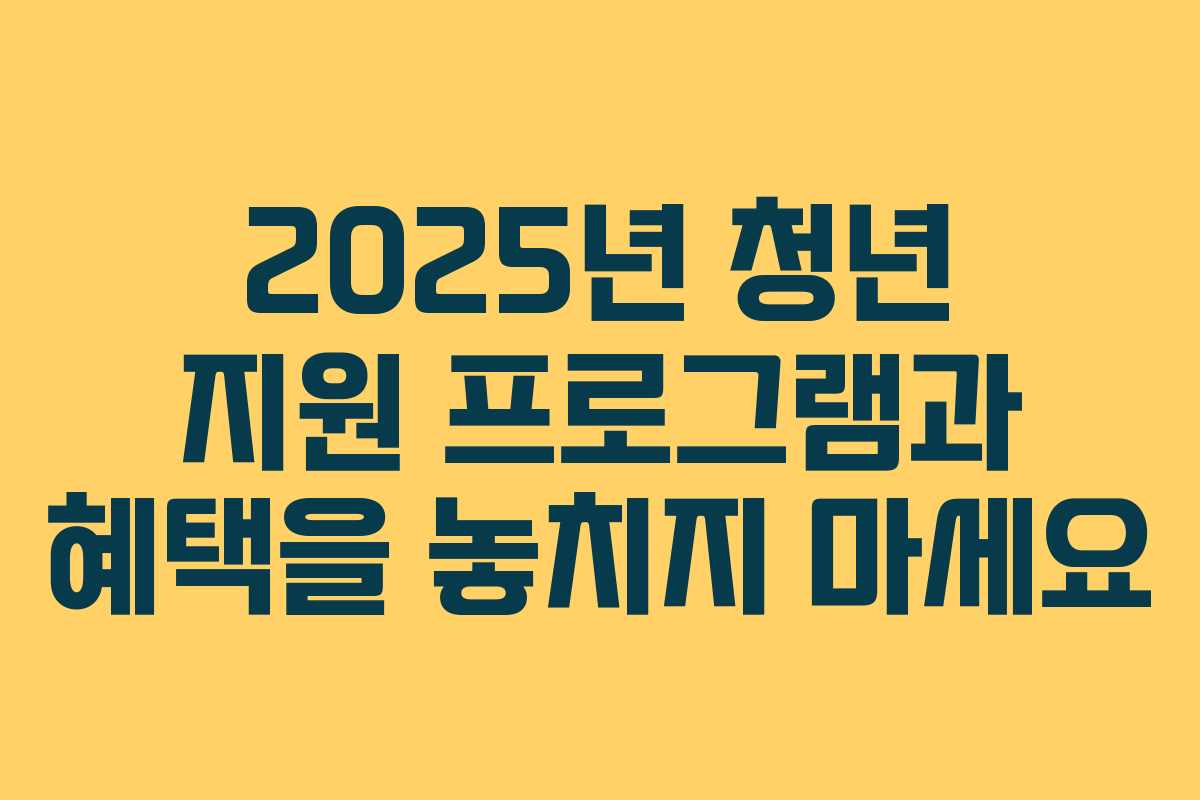 2025년 청년 지원 프로그램과 혜택을 놓치지 마세요