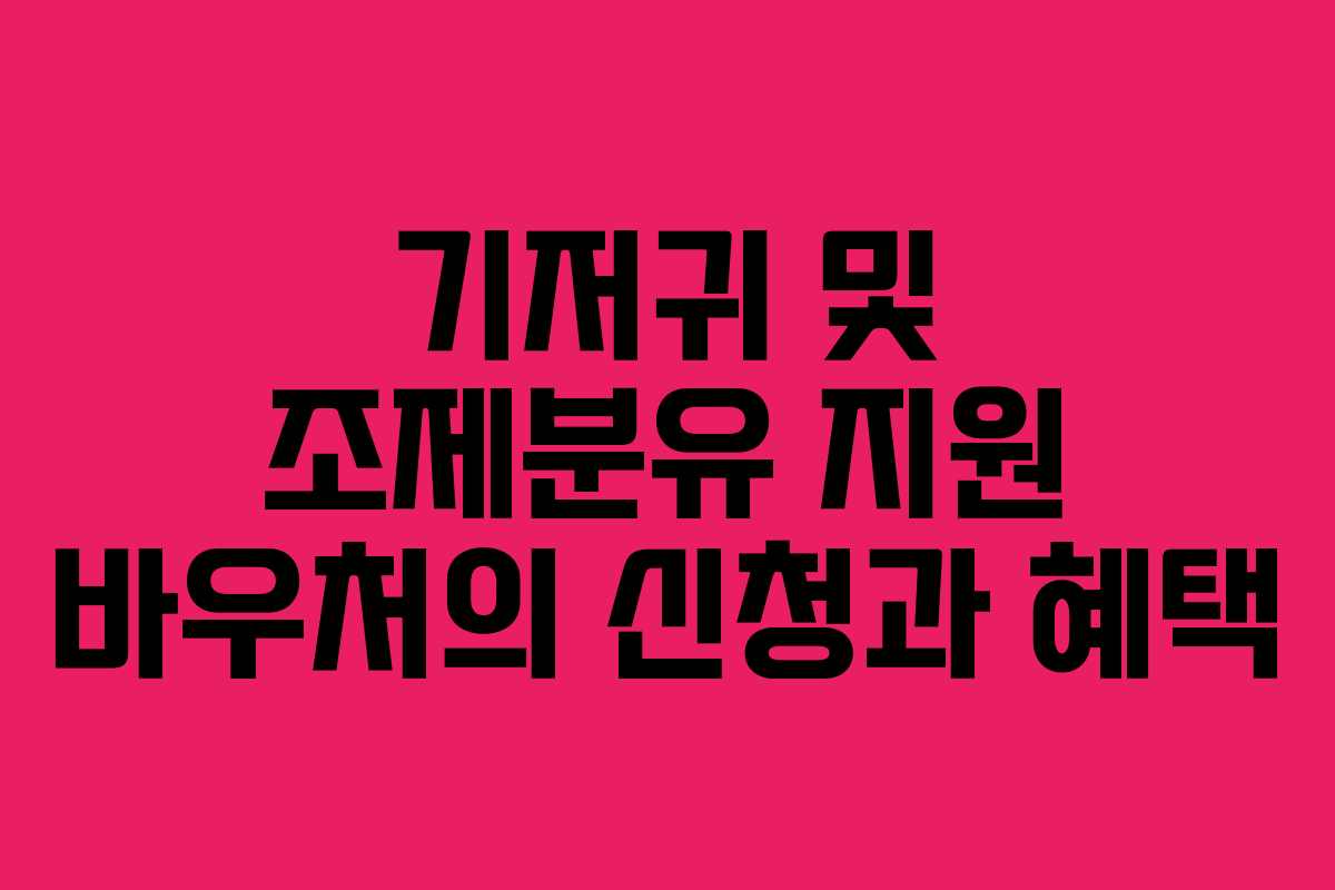 기저귀 및 조제분유 지원 바우처의 신청과 혜택