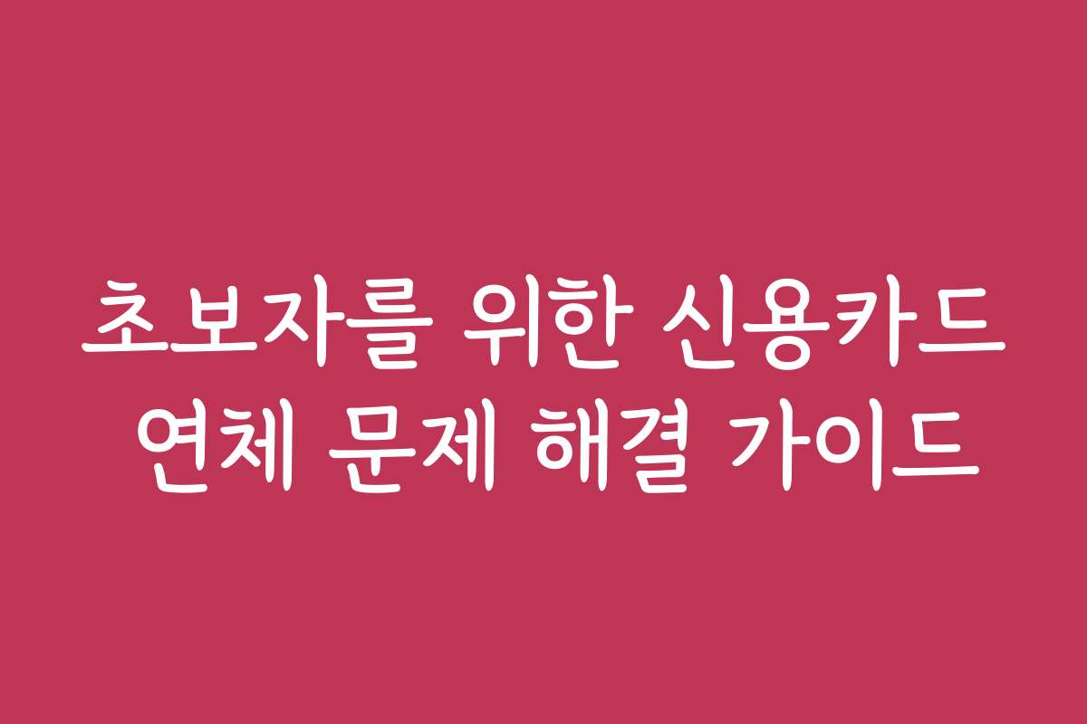 초보자를 위한 신용카드 연체 문제 해결 가이드 초보자를 위한 신용카드 연체 문제 해결 가이드