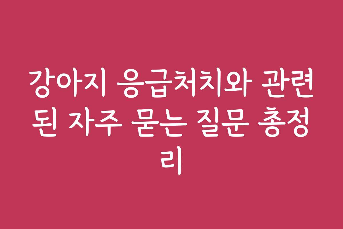 강아지 응급처치와 관련된 자주 묻는 질문 총정리 강아지 응급처치와 관련된 자주 묻는 질문 총정리
