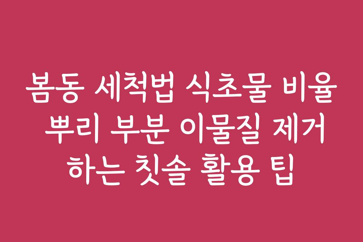 봄동 세척법 식초물 비율 뿌리 부분 이물질 제거하는 칫솔 활용 팁