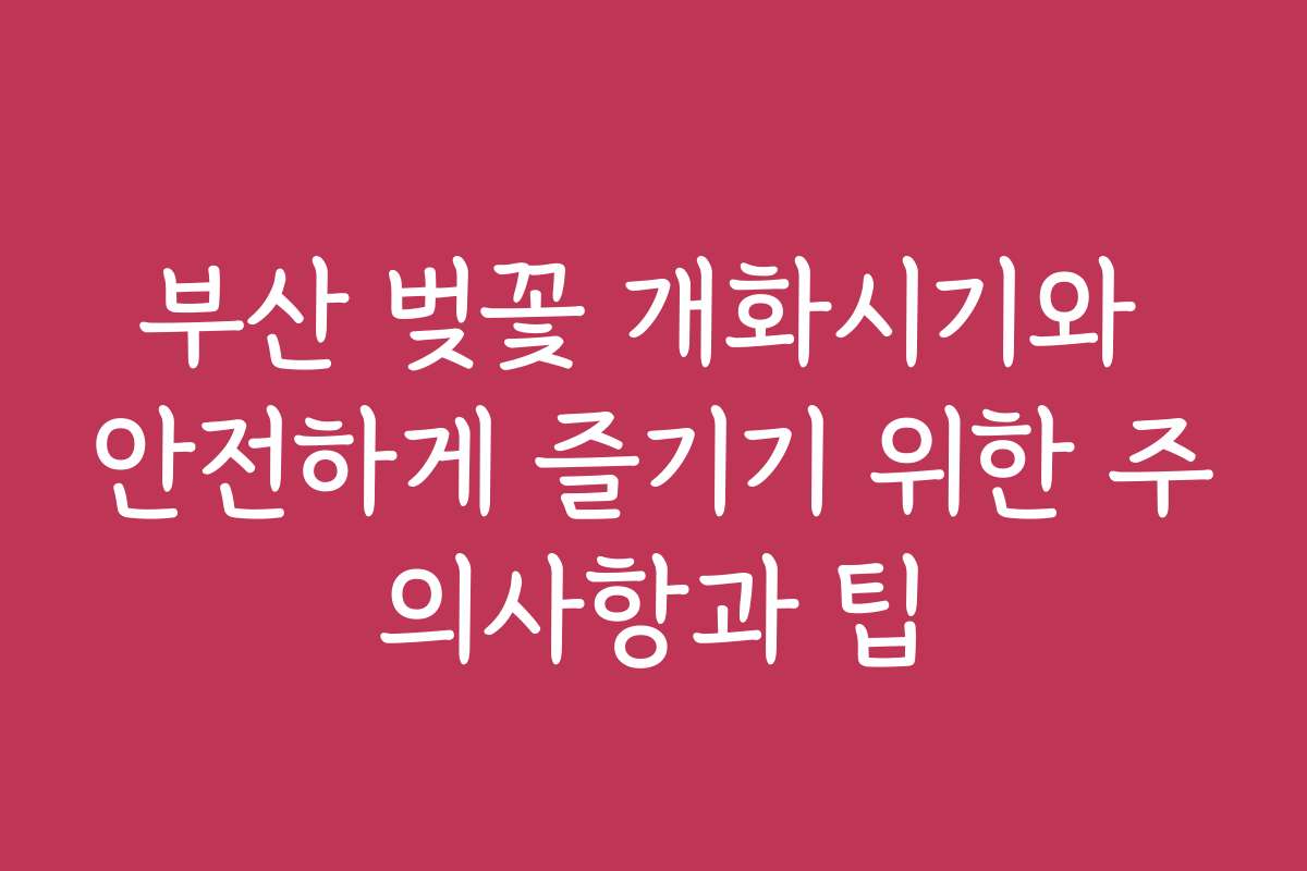부산 벚꽃 개화시기와 안전하게 즐기기 위한 주의사항과 팁