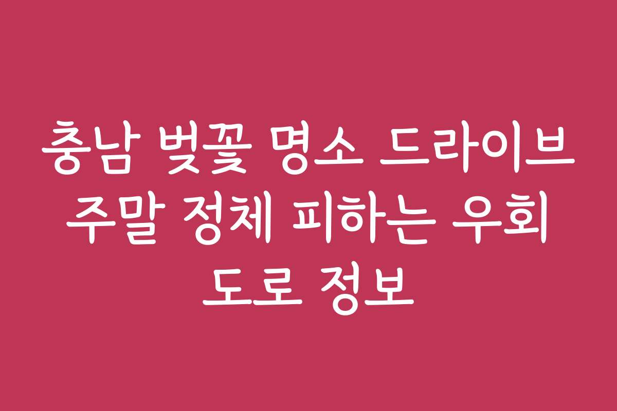 충남 벚꽃 명소 드라이브 주말 정체 피하는 우회 도로 정보