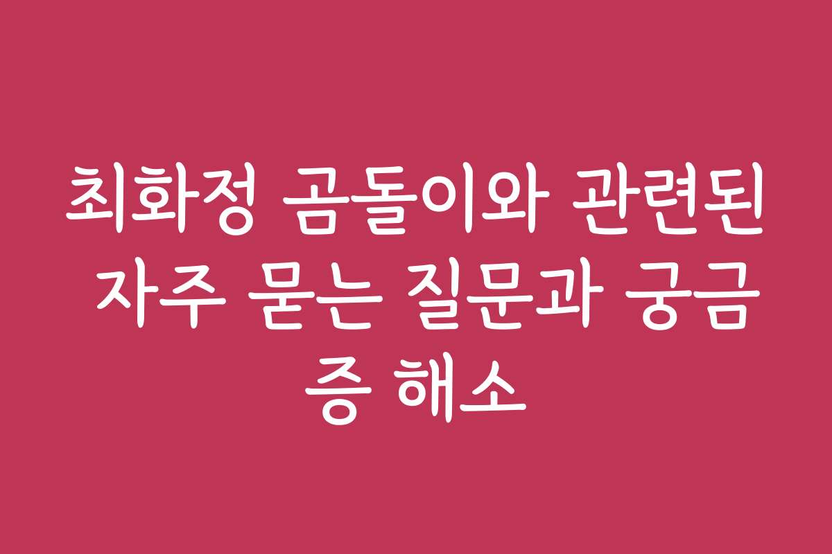 최화정 곰돌이와 관련된 자주 묻는 질문과 궁금증 해소