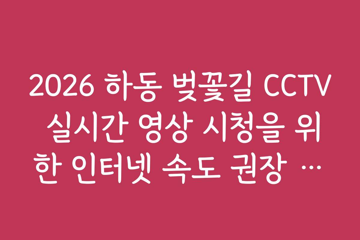 2026 하동 벚꽃길 CCTV 실시간 영상 시청을 위한 인터넷 속도 권장 사항