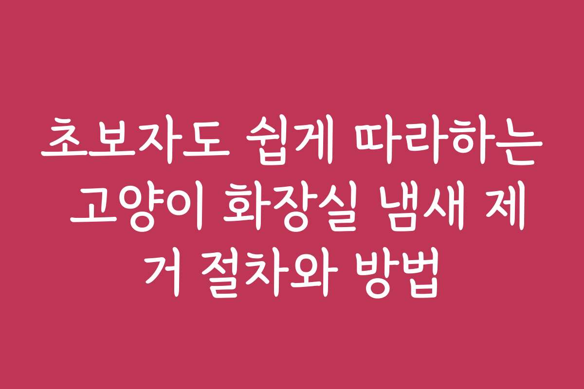 초보자도 쉽게 따라하는 고양이 화장실 냄새 제거 절차와 방법