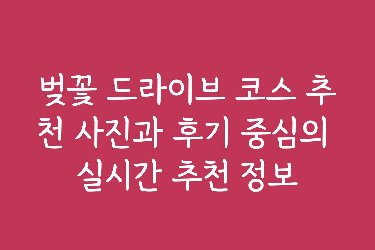 벚꽃 드라이브 코스 추천 사진과 후기 중심의 실시간 추천 정보