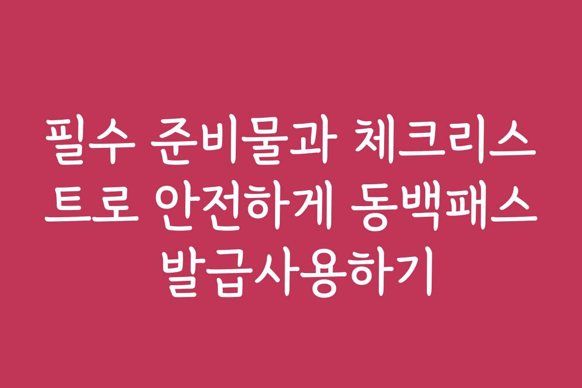 필수 준비물과 체크리스트로 안전하게 동백패스 발급사용하기