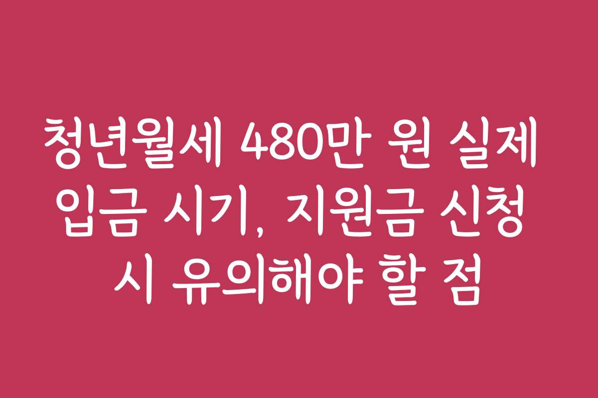 청년월세 480만 원 실제 입금 시기, 지원금 신청 시 유의해야 할 점
