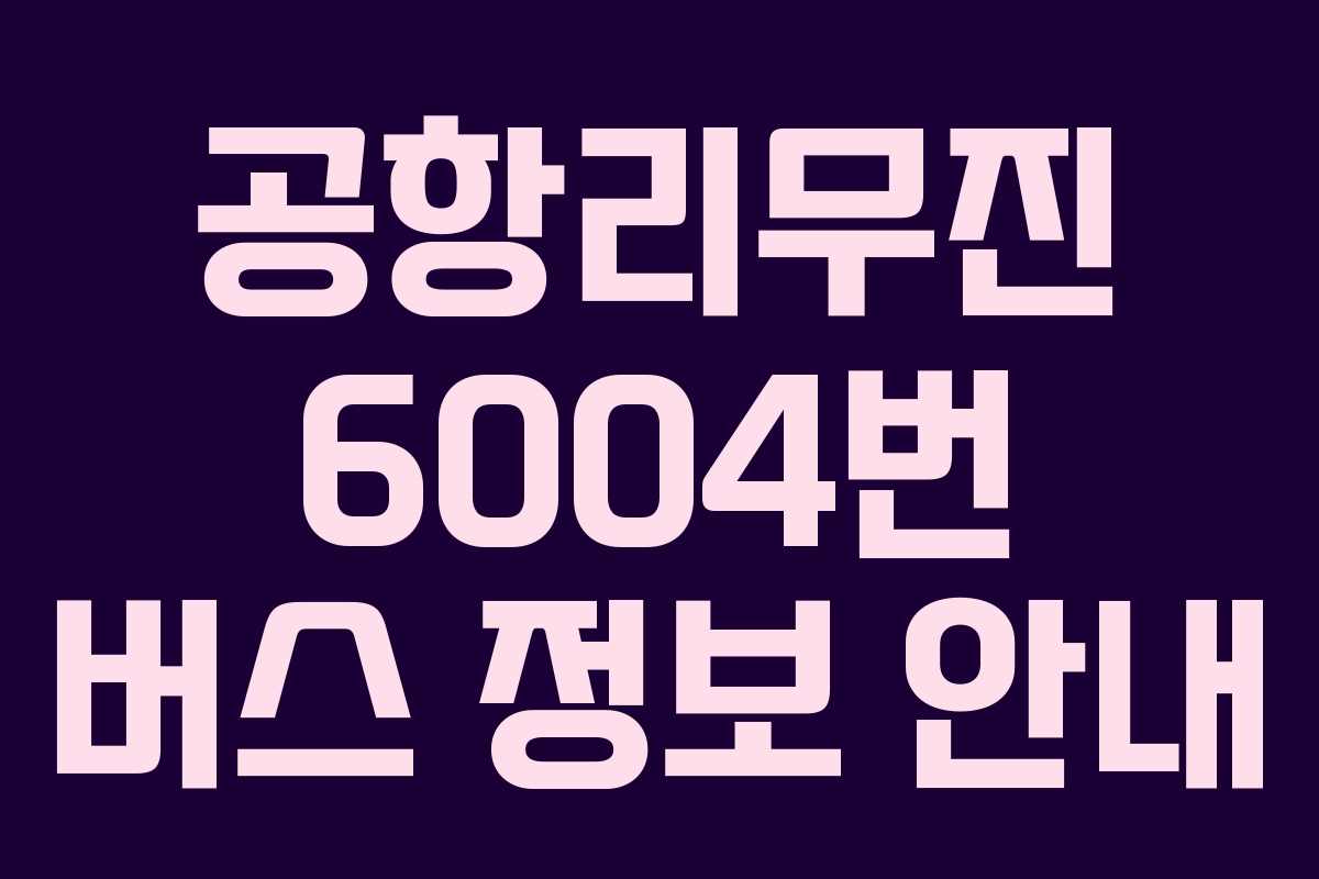 공항리무진 6004번 버스 정보 안내