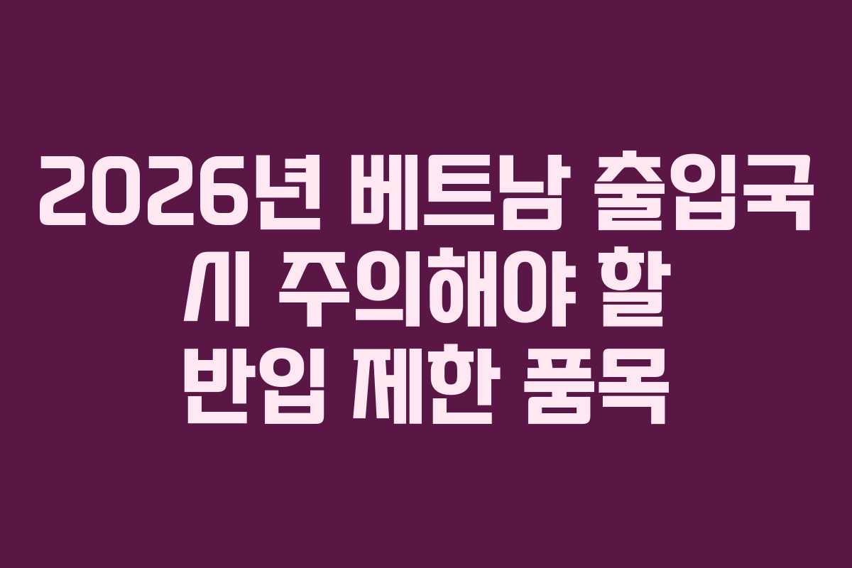 2026년 베트남 출입국 시 주의해야 할 반입 제한 품목