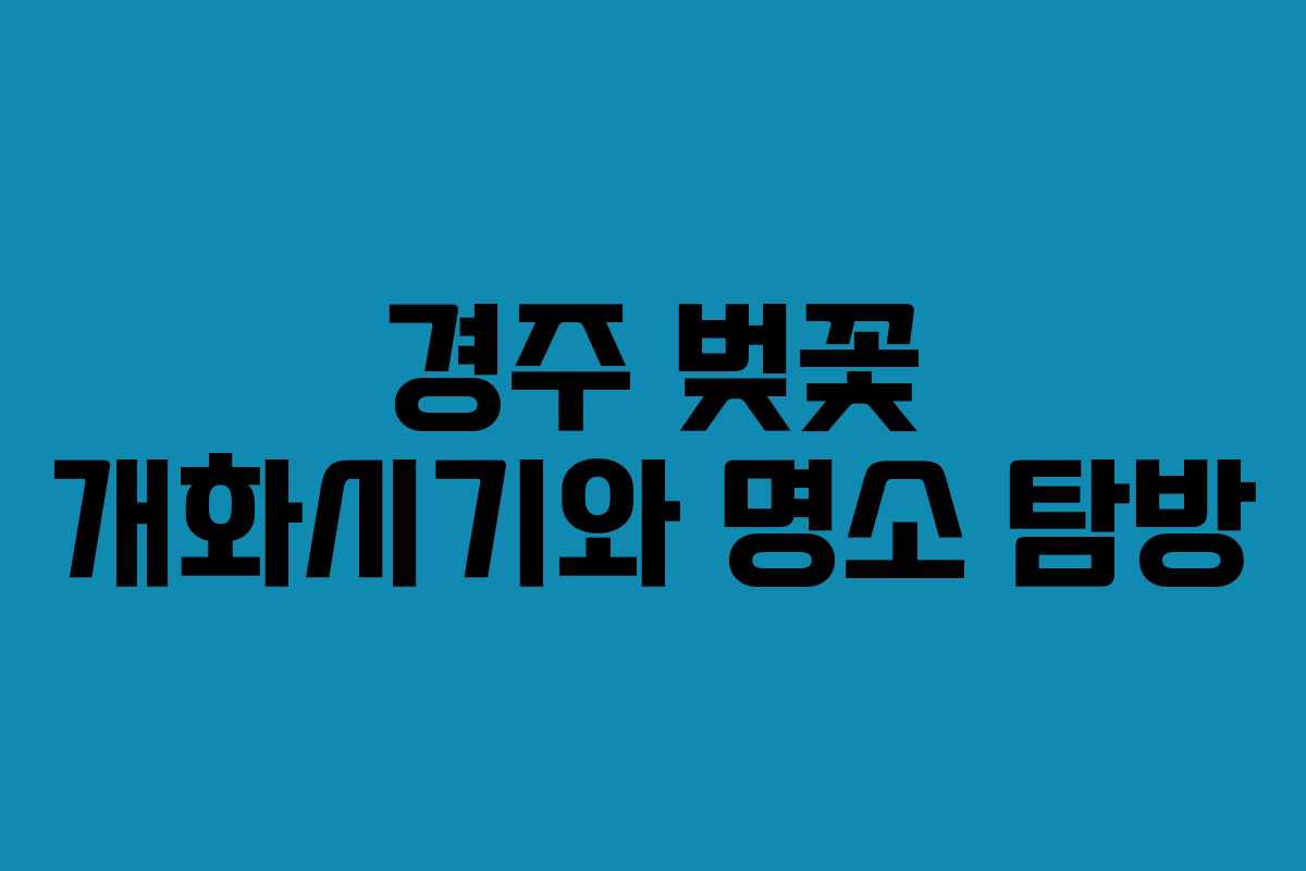 경주 벚꽃 개화시기와 명소 탐방