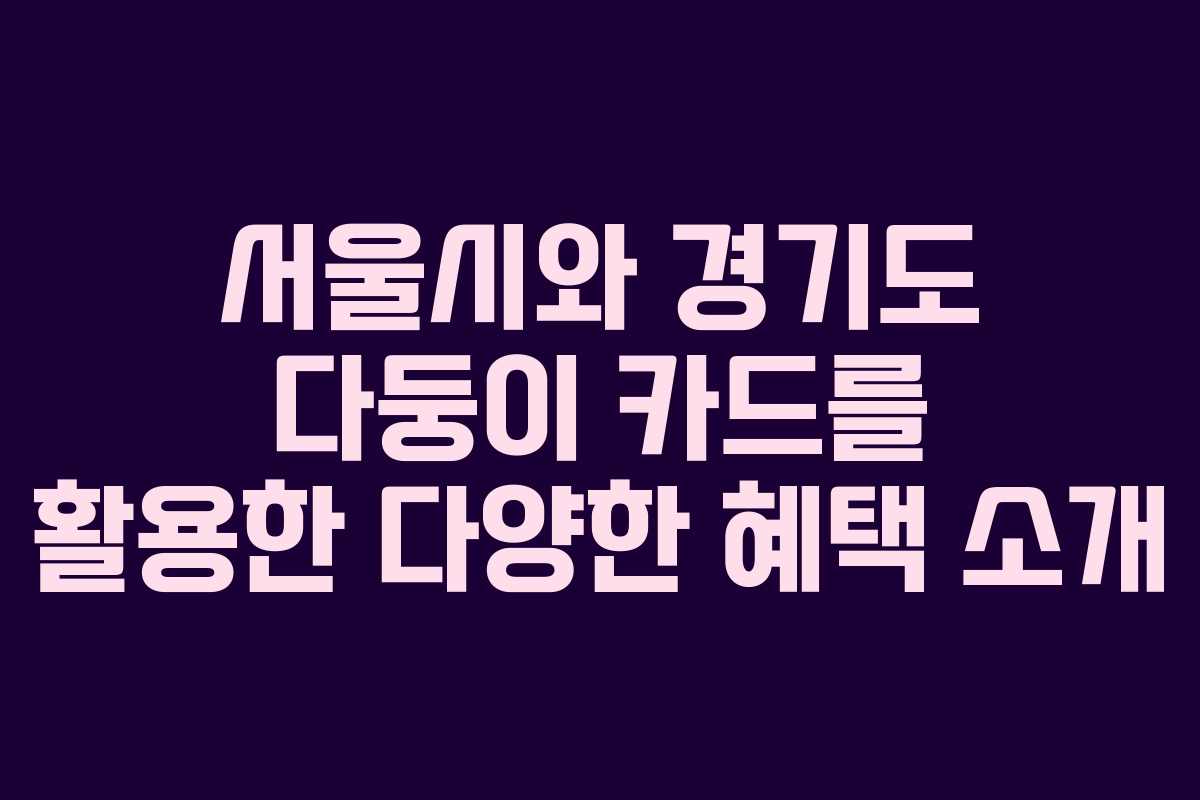 서울시와 경기도 다둥이 카드를 활용한 다양한 혜택 소개