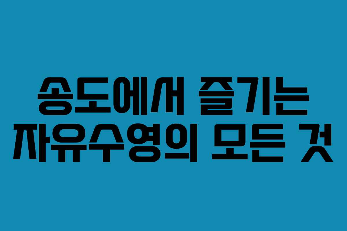 송도에서 즐기는 자유수영의 모든 것