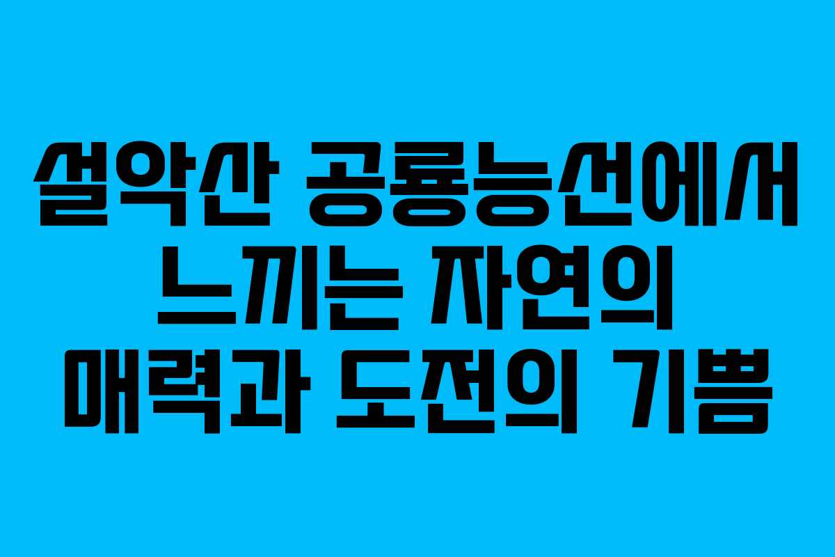 설악산 공룡능선에서 느끼는 자연의 매력과 도전의 기쁨