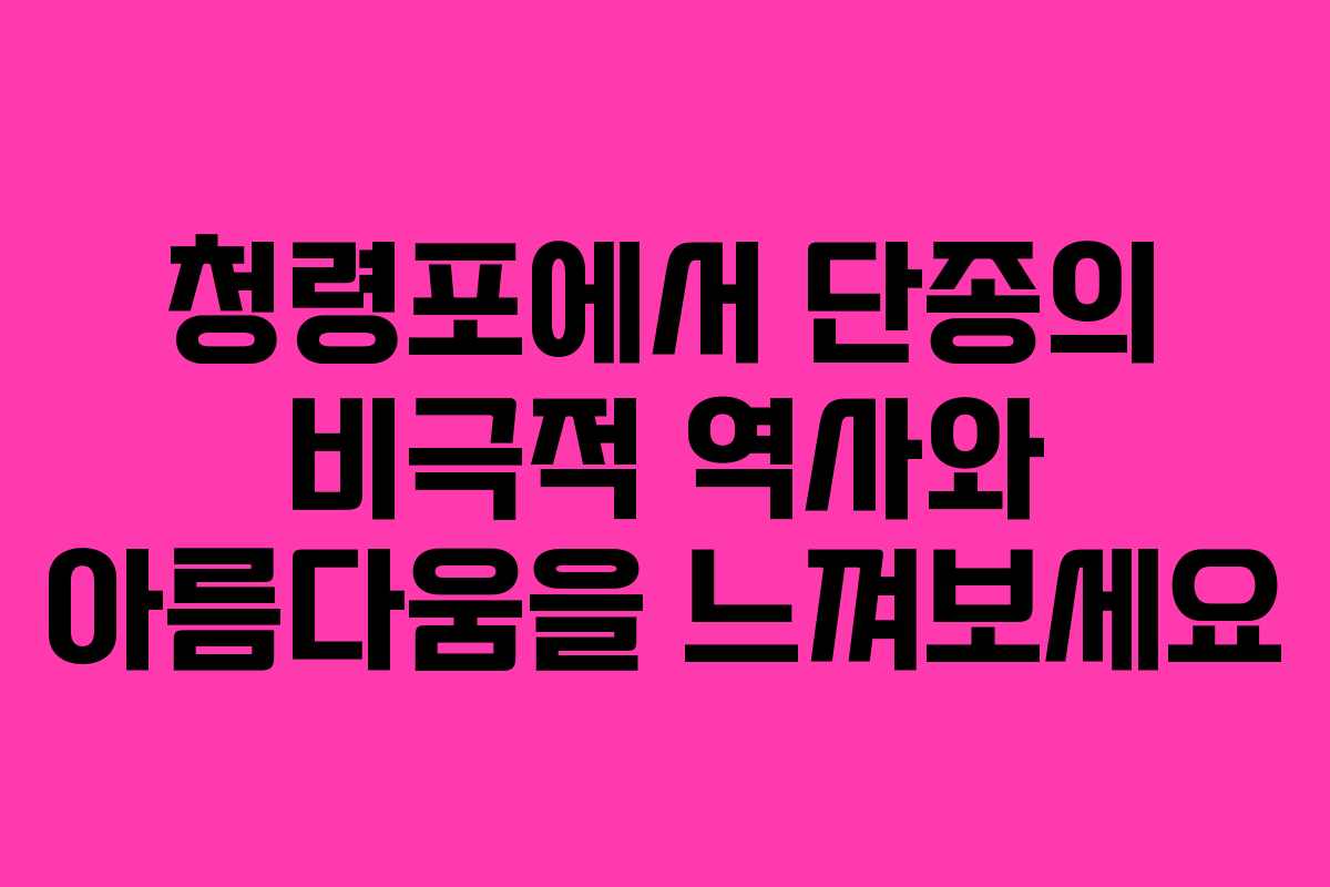 청령포에서 단종의 비극적 역사와 아름다움을 느껴보세요
