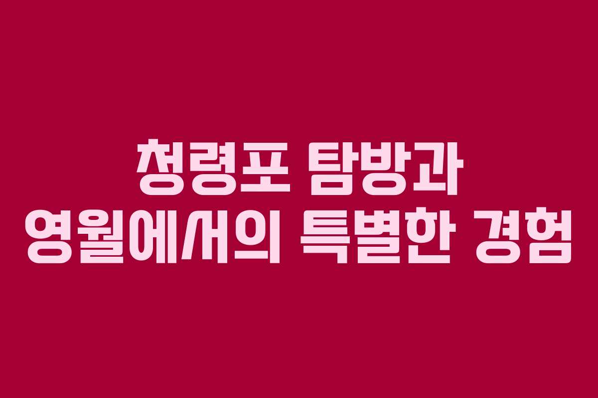 청령포 탐방과 영월에서의 특별한 경험