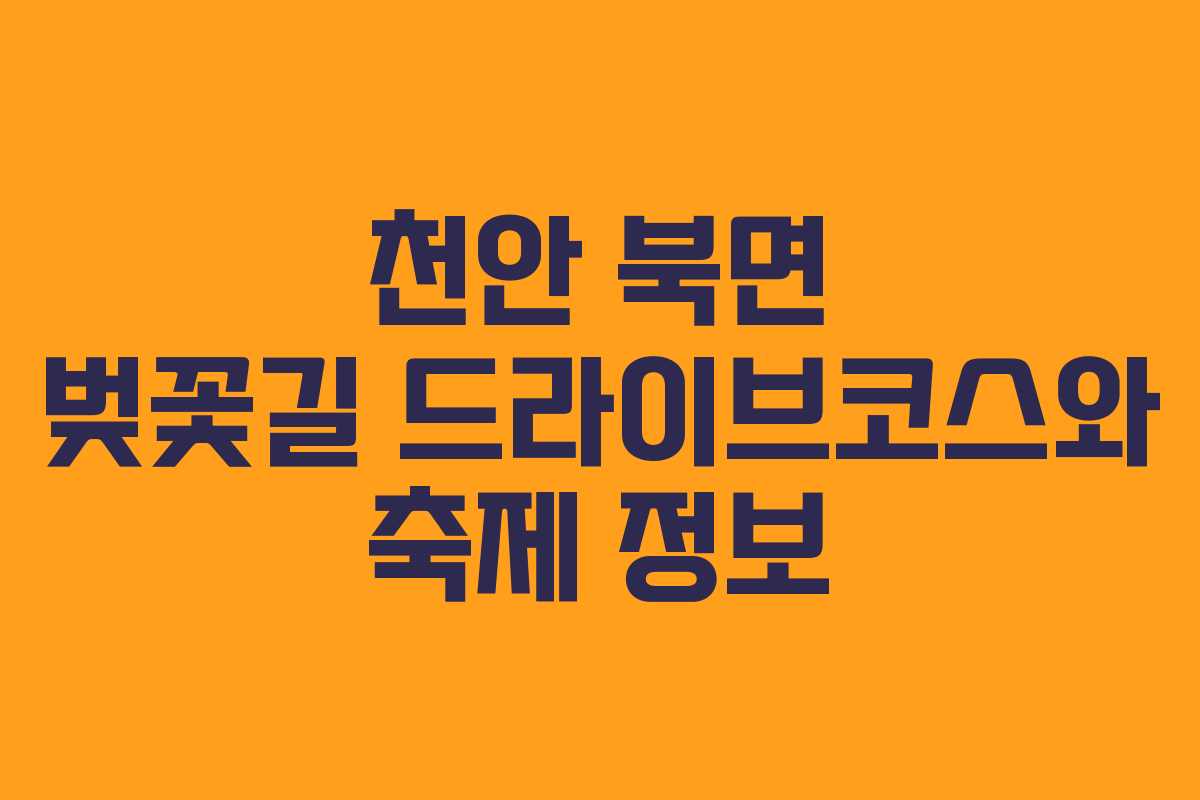 천안 북면 벚꽃길 드라이브코스와 축제 정보 천안 북면 벚꽃길 드라이브코스와 축제 정보