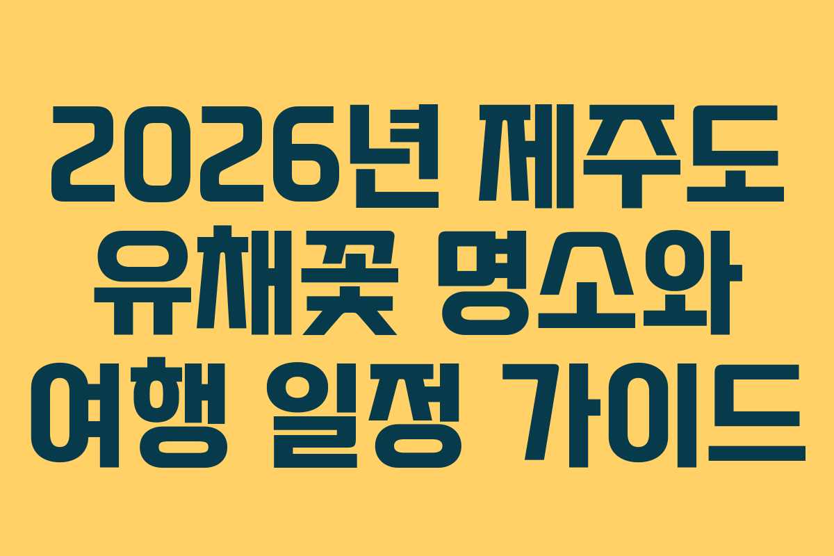2026년 제주도 유채꽃 명소와 여행 일정 가이드