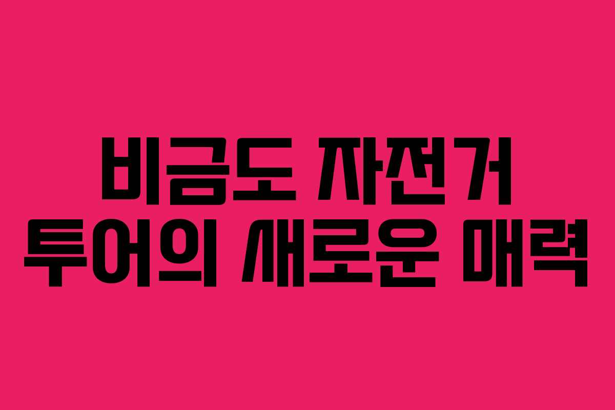 비금도 자전거 투어의 새로운 매력