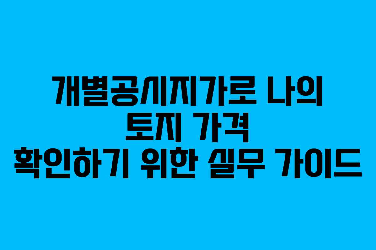 개별공시지가로 나의 토지 가격 확인하기 위한 실무 가이드