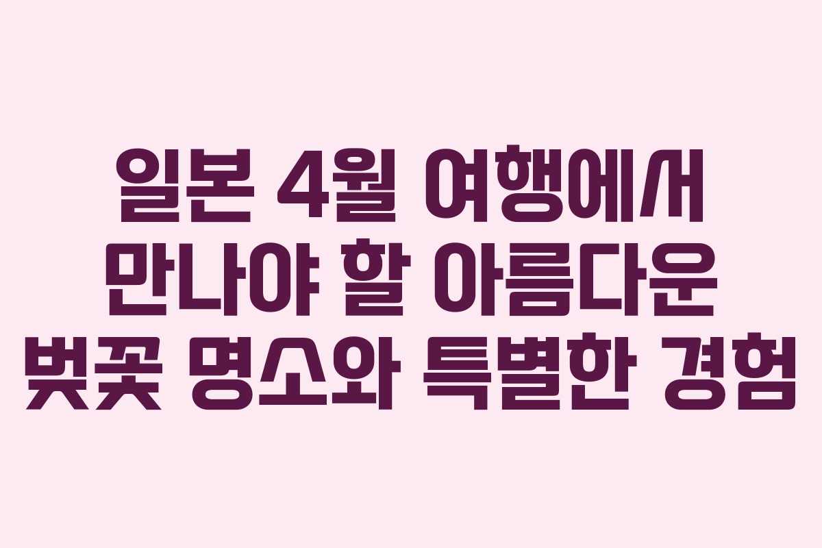 일본 4월 여행에서 만나야 할 아름다운 벚꽃 명소와 특별한 경험