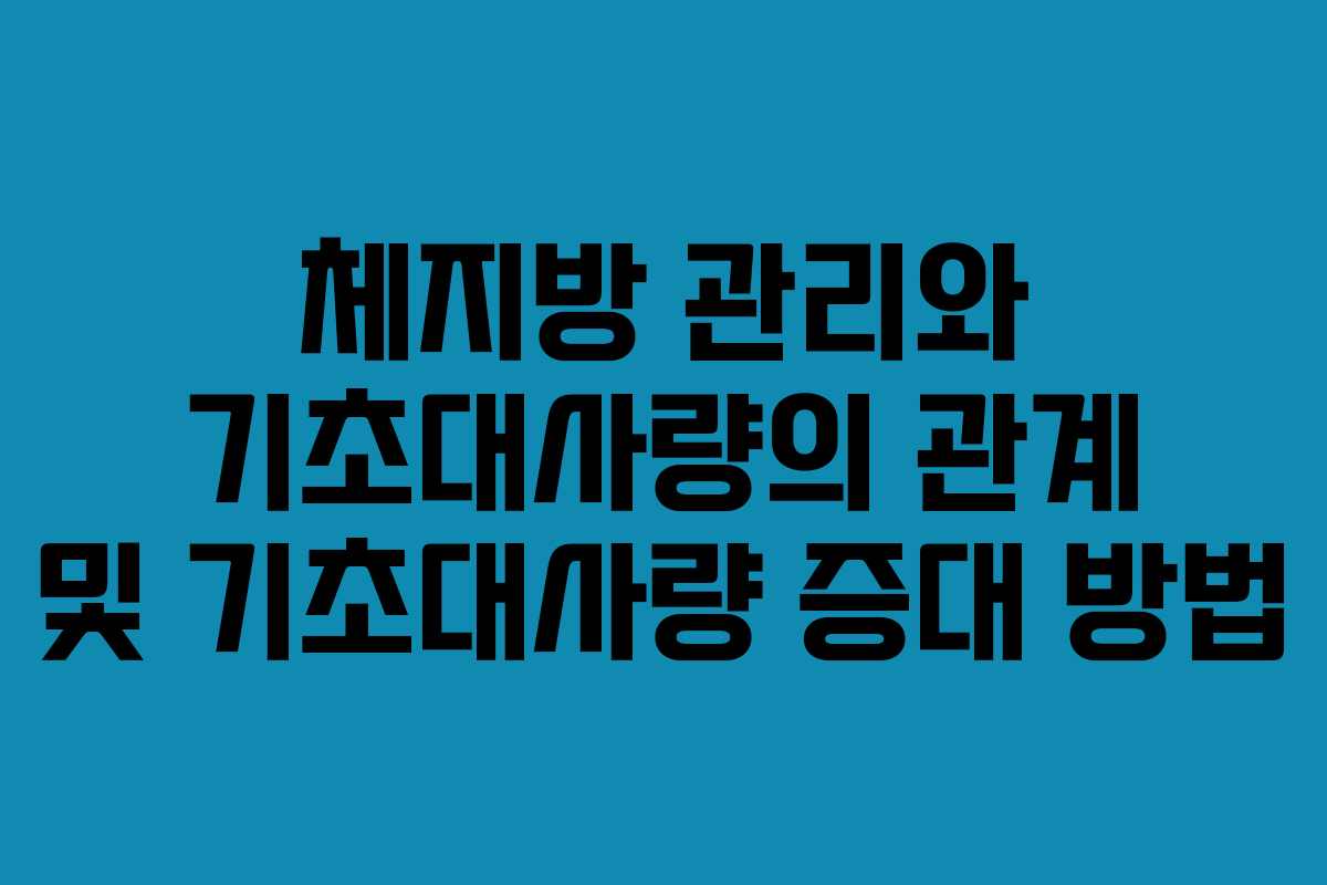 체지방 관리와 기초대사량의 관계 및 기초대사량 증대 방법