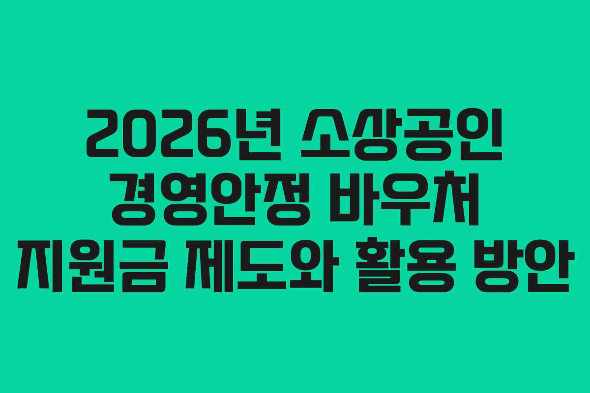 2026년 소상공인 경영안정 바우처 지원금 제도와 활용 방안