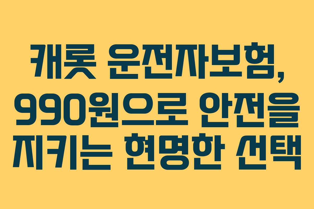 캐롯 운전자보험, 990원으로 안전을 지키는 현명한 선택